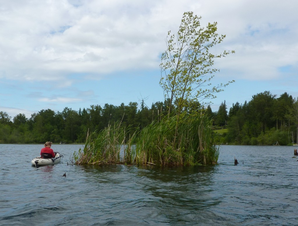 floating-island-june-151