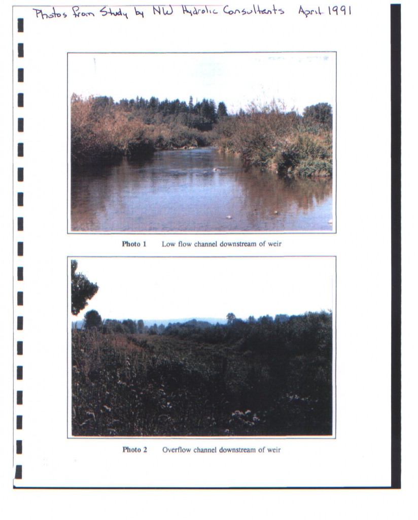 note the open low flow chanel and the mowed high flow area